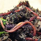 مشاوره و راه اندازی فارم تولید کود مشاوره و راه اندازی فارم تولید کود